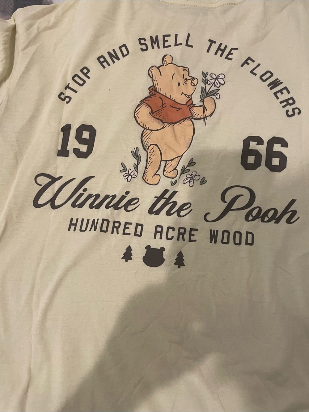 Winnie the Pooh Graphic Tee 🐨3for$20🐨 - Picture 6 of 6